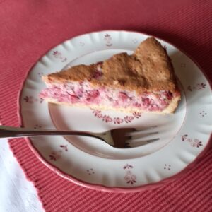 Träubleskuchen (Johannisbeerkuchen)