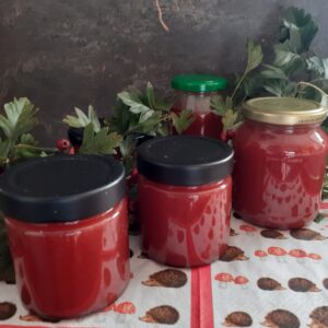 Fruchtaufstrich Weißdorn-Apfel